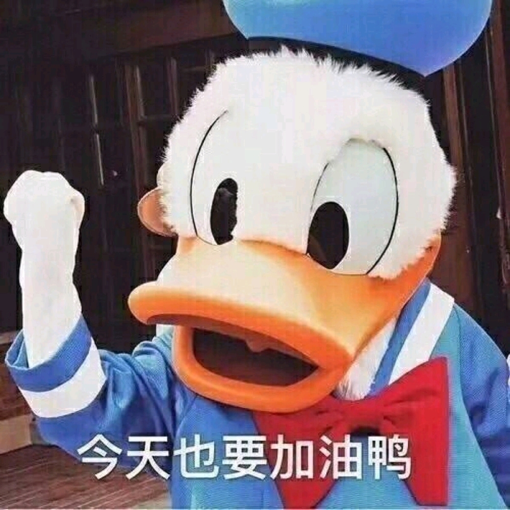 16.jpg 16.jpg